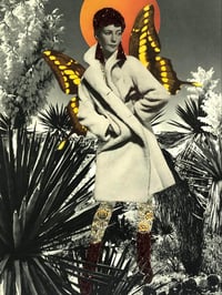 Image 1 of Metamorphosis