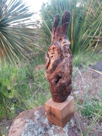 Image 5 of Protection
