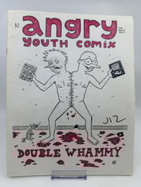 Image 1 of ANGRY YOUTH COMIX DOUBLE WHAMMY