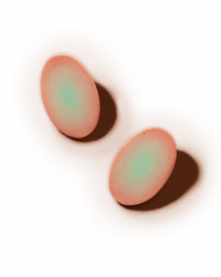 Image 1 of Aura Oval Earrings