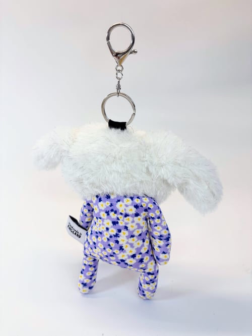 Image of Mr Pickles the bunny 