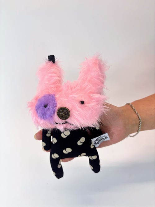 Image of Rosetta rabbit 
