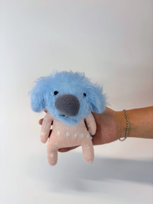 Image of Deidre dog