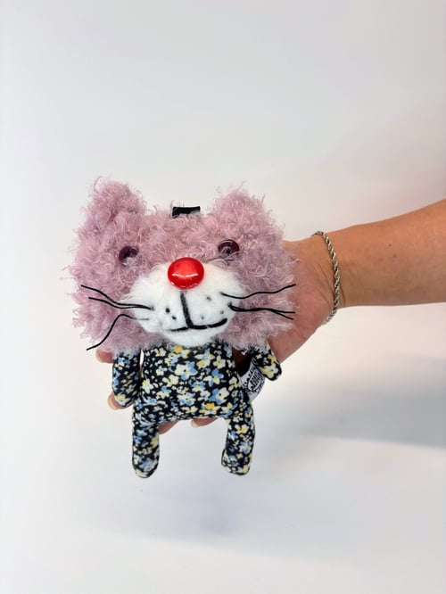Image of Kiera cat 