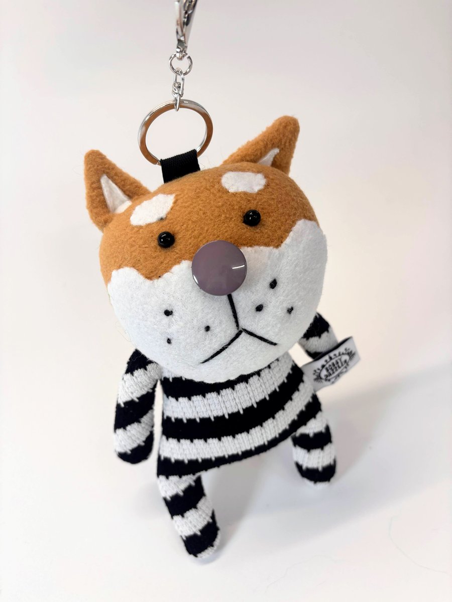 Image of Dave dog