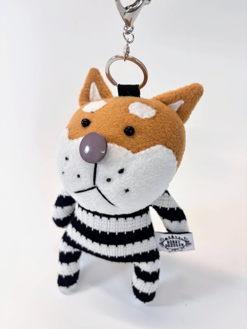 Image of Dave dog
