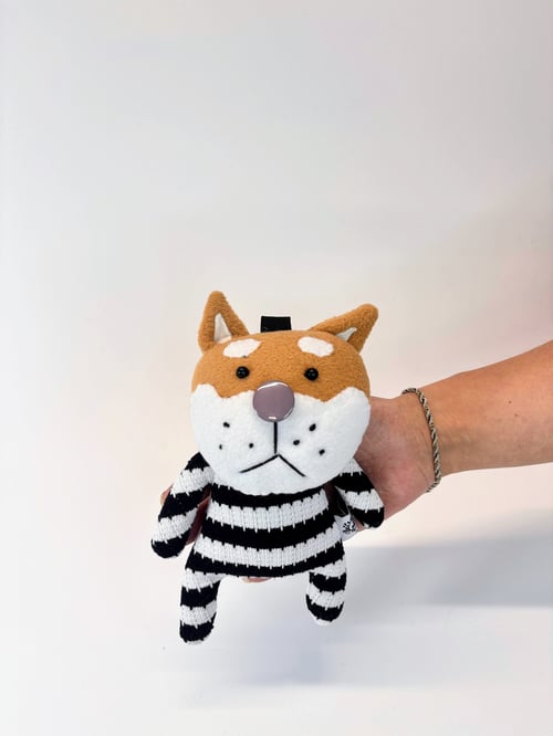 Image of Dave dog