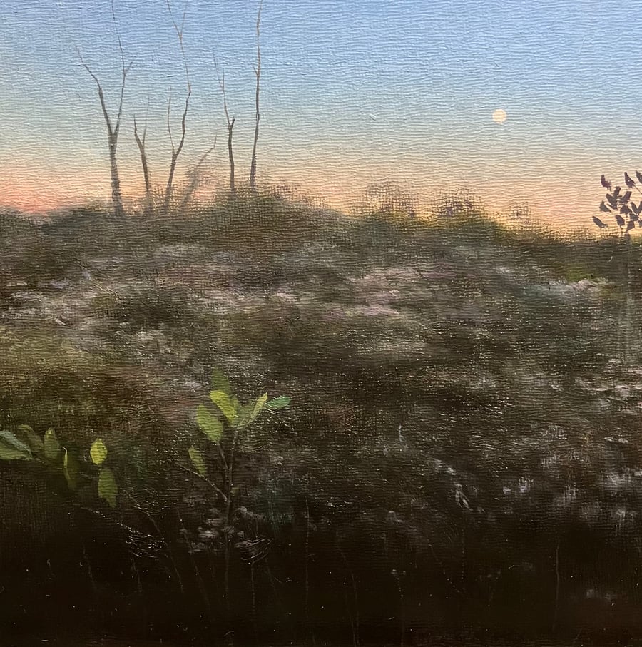 Image of Jim Halloran | Fall Moon