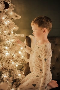 Image 5 of Magic Tree Chrsitmas Minis RETAINER ONLY