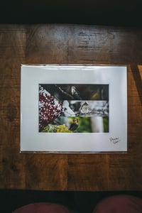 Palestine Flag Print