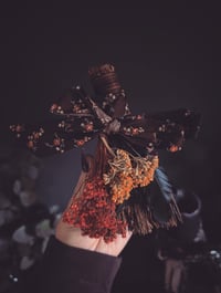 Image 2 of Mini abundance brooms 