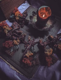 Image 3 of Mini abundance brooms 