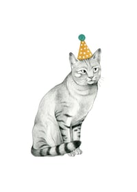 Gato festivo