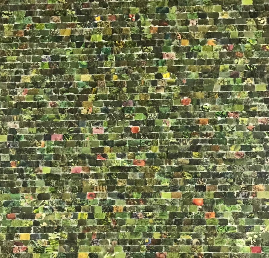 Image of Travis Childers | Vegetation