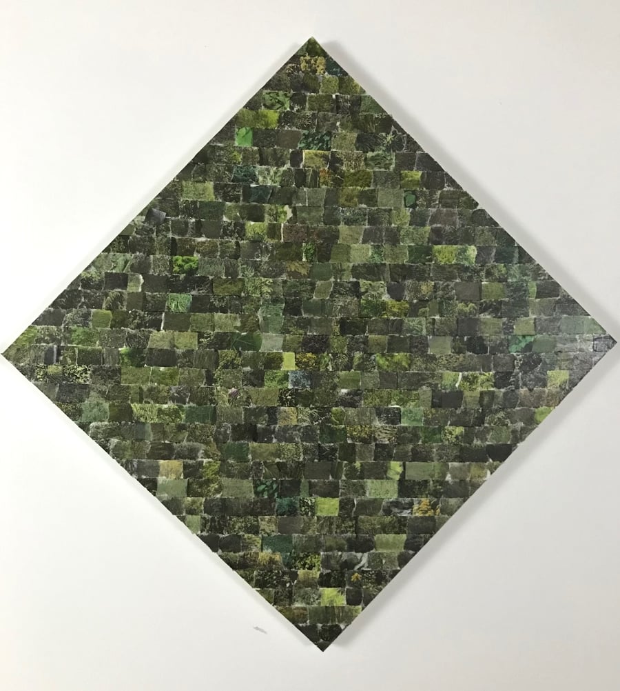 Image of Travis Childers | Vegetation 3