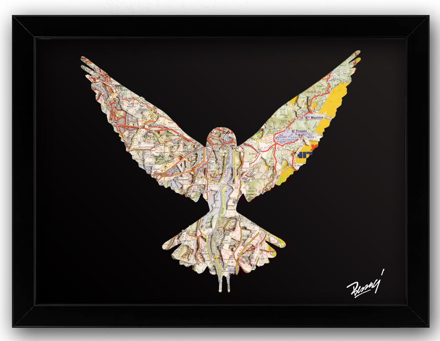 Image of joanathan bessaci | love bird