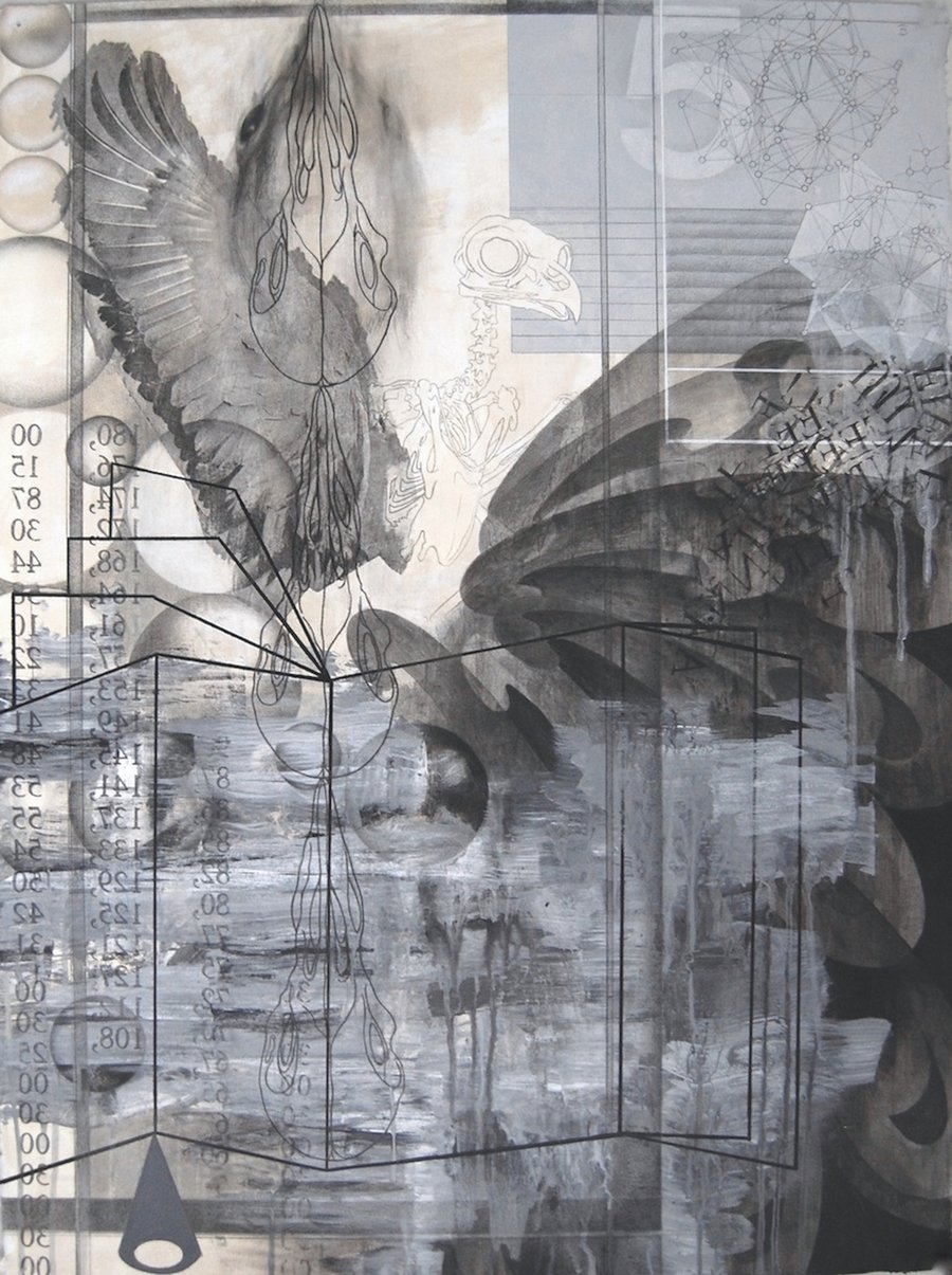 Image of Andrea Barnes | Drone Study I