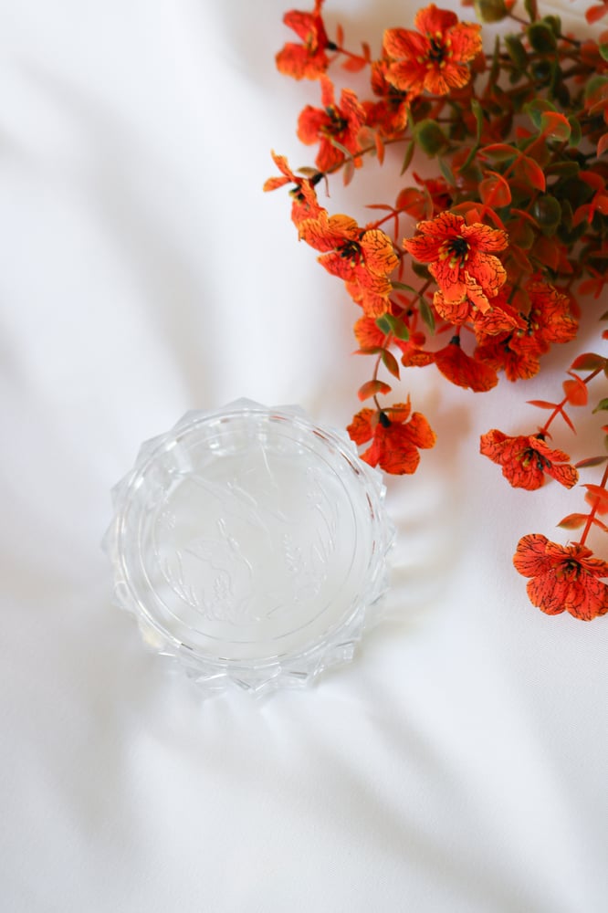 Image of Vintage Plastic Butterfly Dusting Powder Puff Dish  