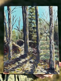 Image 1 of Acrylic painting: Hannacroix Creek preserve