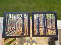 Image 1 of Morning Rise Framed Original painting SET