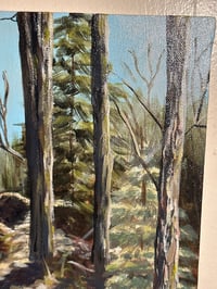 Image 2 of Acrylic painting: Hannacroix Creek preserve