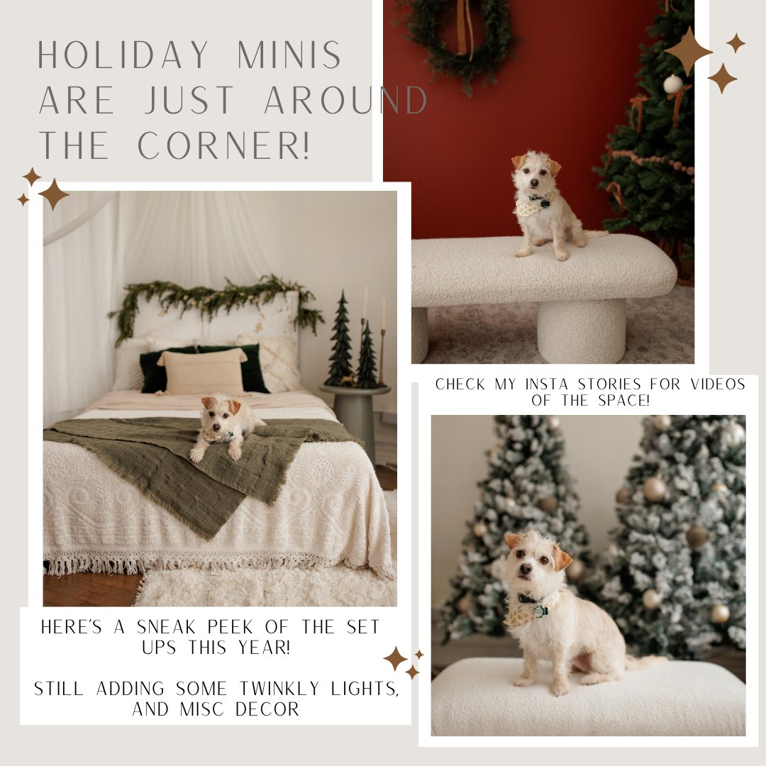 Image of Cozy Studio Holiday minis 2025