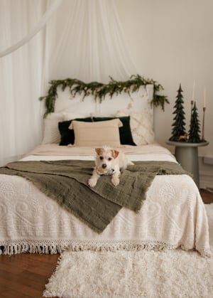 Image of Cozy Studio Holiday minis 2025