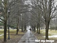 Holiday MICRO Minis - Vogel Park - November 29th