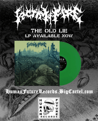 Victim of Fire - THE OLD LIE LP