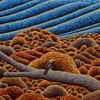 Image 3 of Barmouth 2 - print