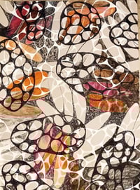 SEED DISPERSAL ABSTRACT II