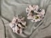 Image of Evolutions Scrunchie