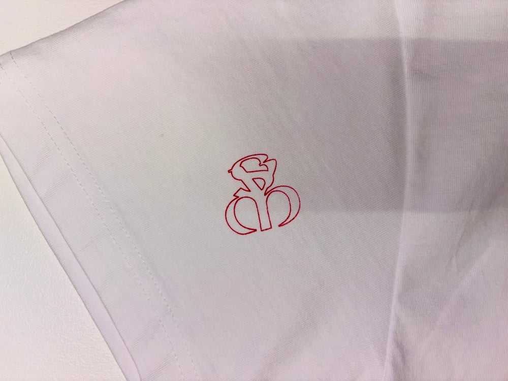 Image of Pistis Sophia