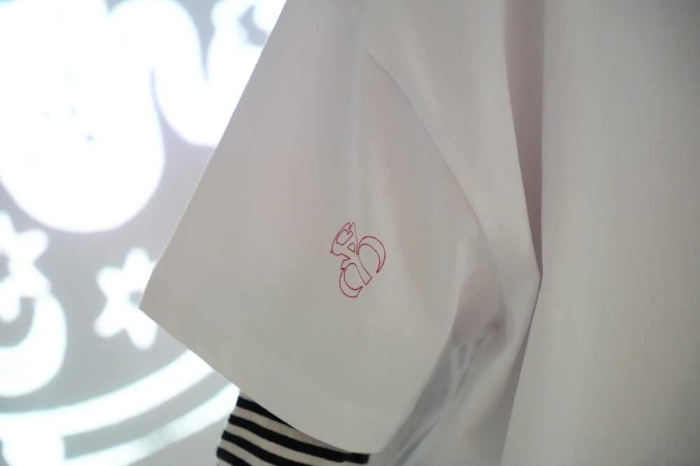 Image of Pistis Sophia