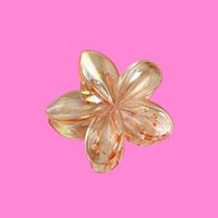 Image 5 of Hawaiian Transparent Hair Claw Clip