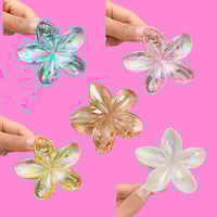 Image 1 of Hawaiian Transparent Hair Claw Clip
