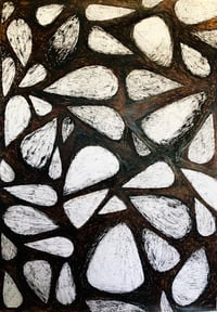 BANKSIA SEEDS I