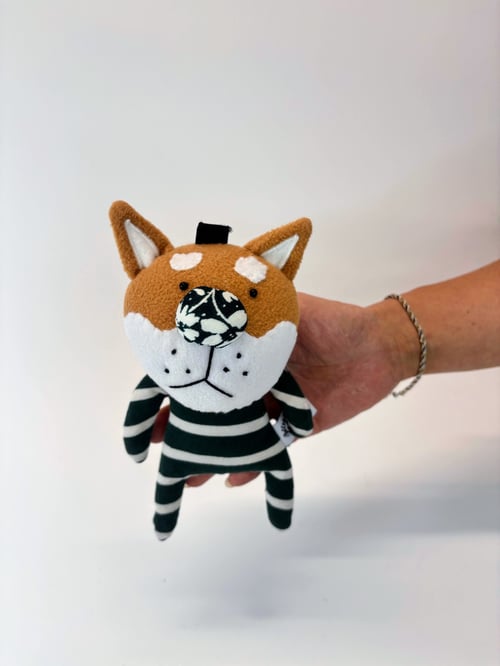 Image of Dillon dog 