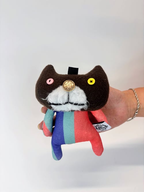 Image of Conor cat  