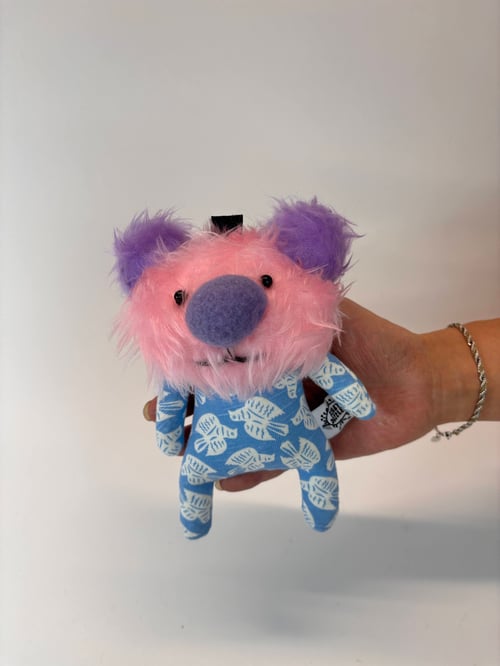 Image of Candy the koala 