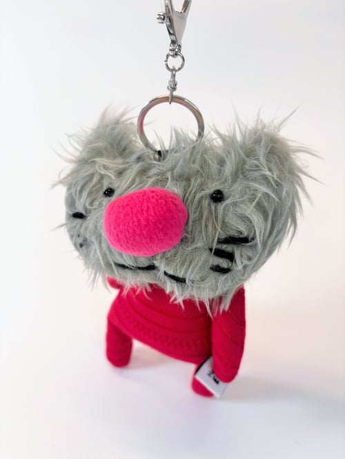 Image of Coola kitten 