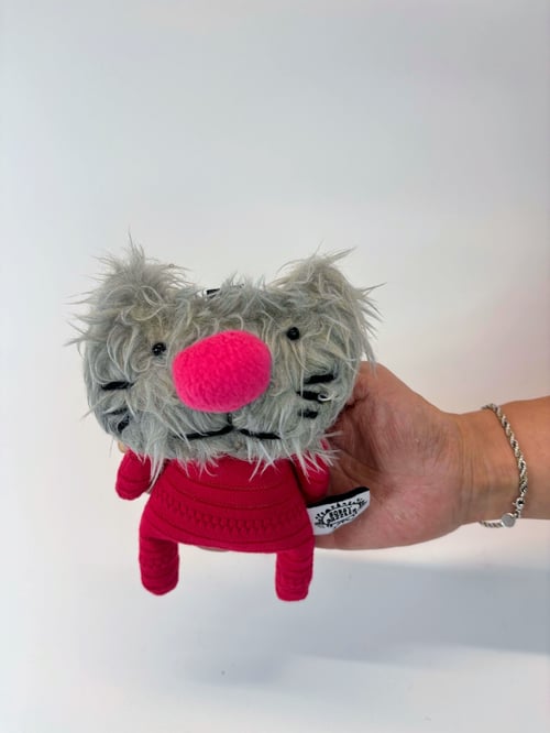 Image of Coola kitten 