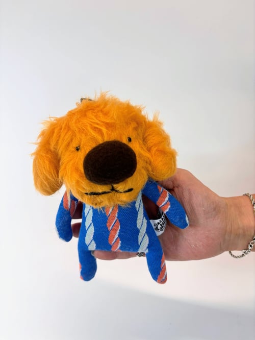 Image of Duncan dog