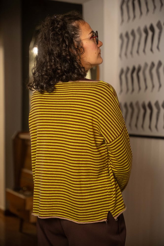 Image of Maglione TRICOLOR Pistacchio+Marrone+Sabbia