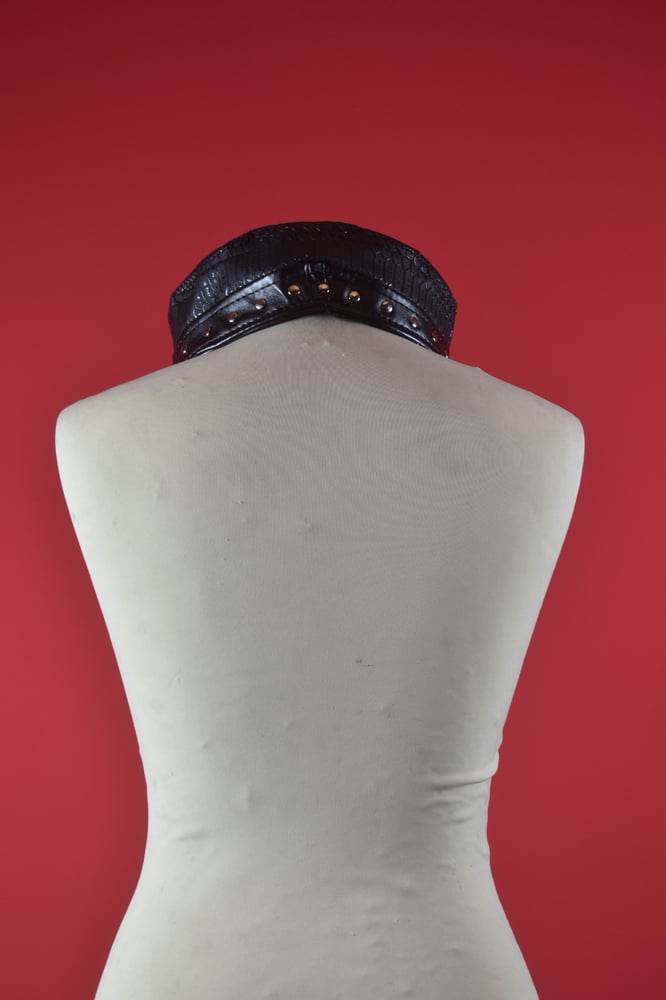 Image of DOMINATE HAT