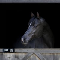 Image 1 of Black Hello Horse Stable Plate – Includes Lifetime Subscription