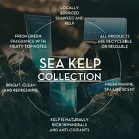 Image 3 of Sea Kelp Travel Essentials