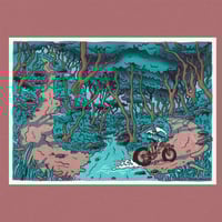 Image 1 of Ford Riso 