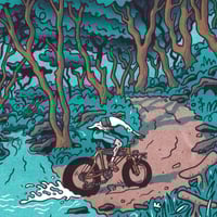 Image 2 of Ford Riso 