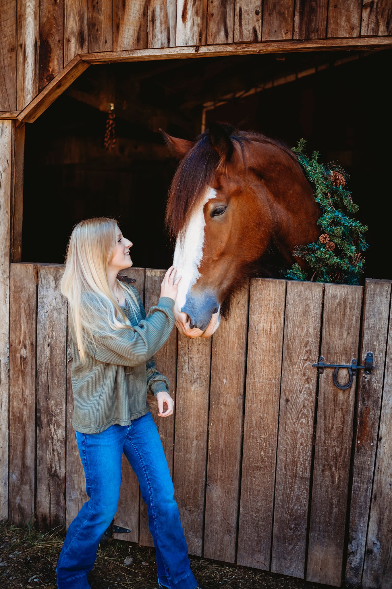 Image of Christmas Photos with a Clydesdale  NON REFUNDABLE  Deposit Only